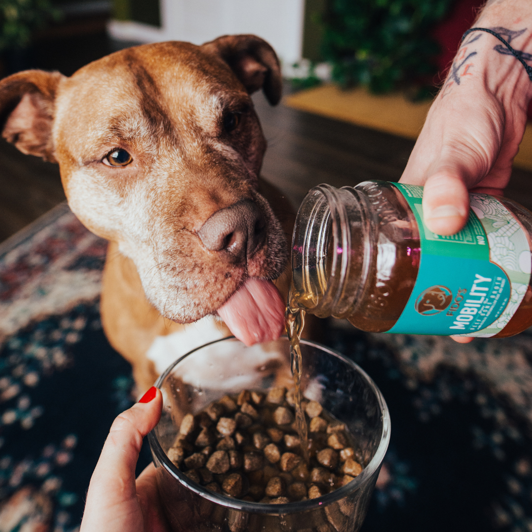 Mobility Beef Bone Broth - Liquid