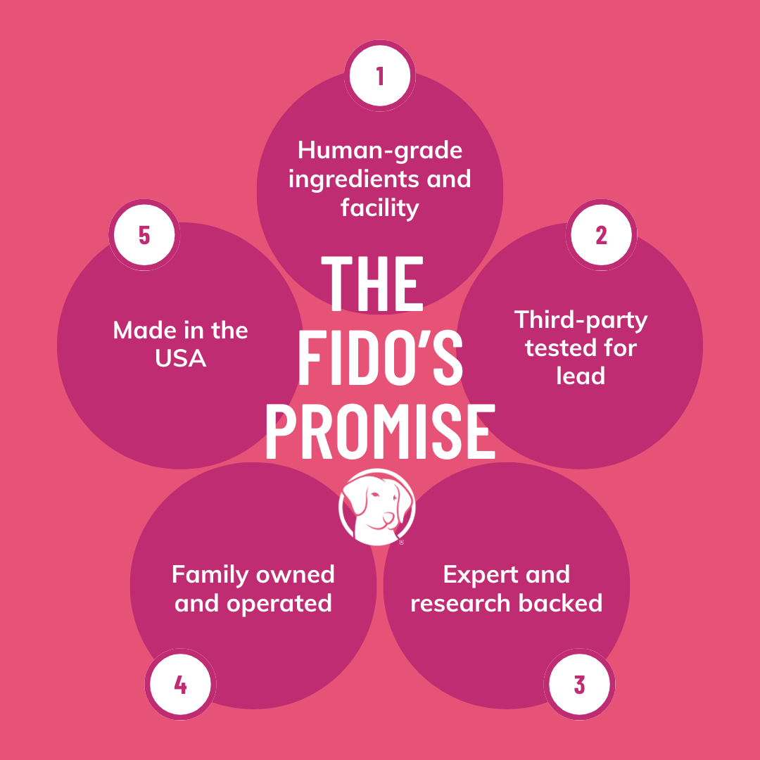 Digestion Beef Bone Broth - Powder