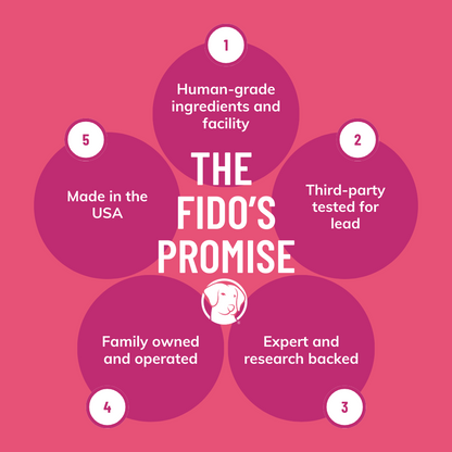 Digestion Beef Bone Broth - Powder