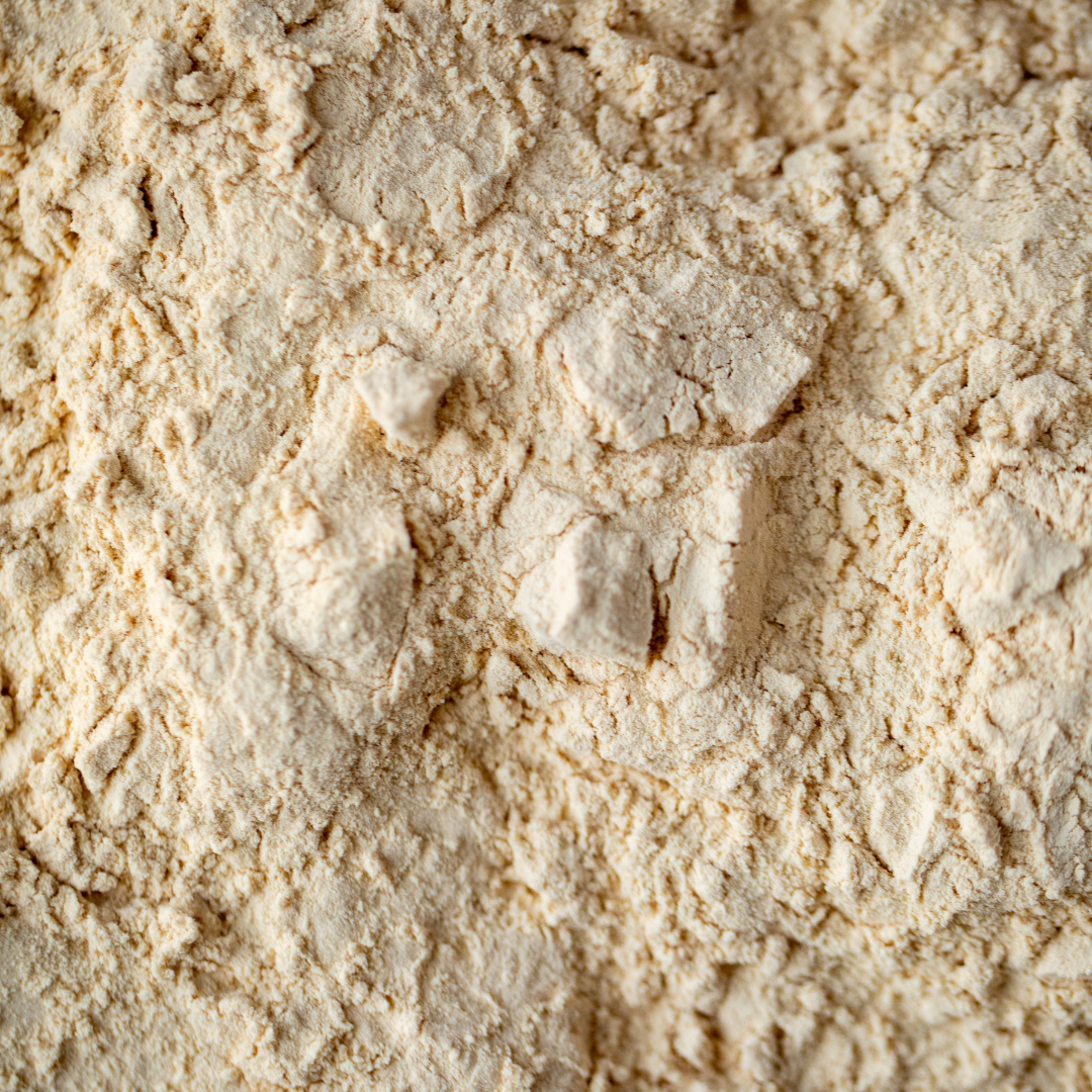 Longevity Beef Bone Broth - Powder