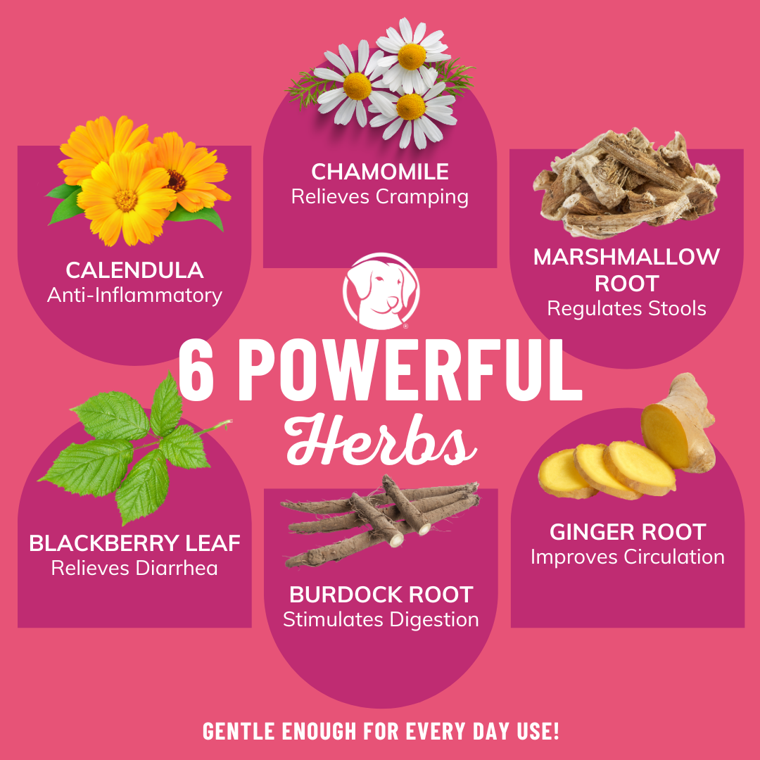 Digestion Beef Bone Broth - Powder