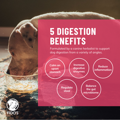 Digestion Beef Bone Broth - Powder