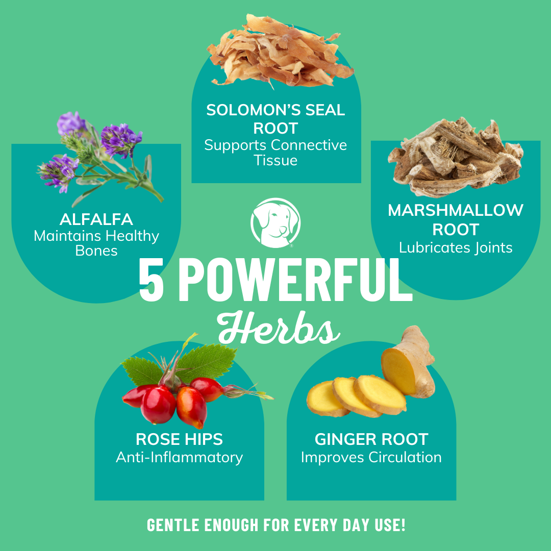 Mobility Beef Bone Broth - Liquid