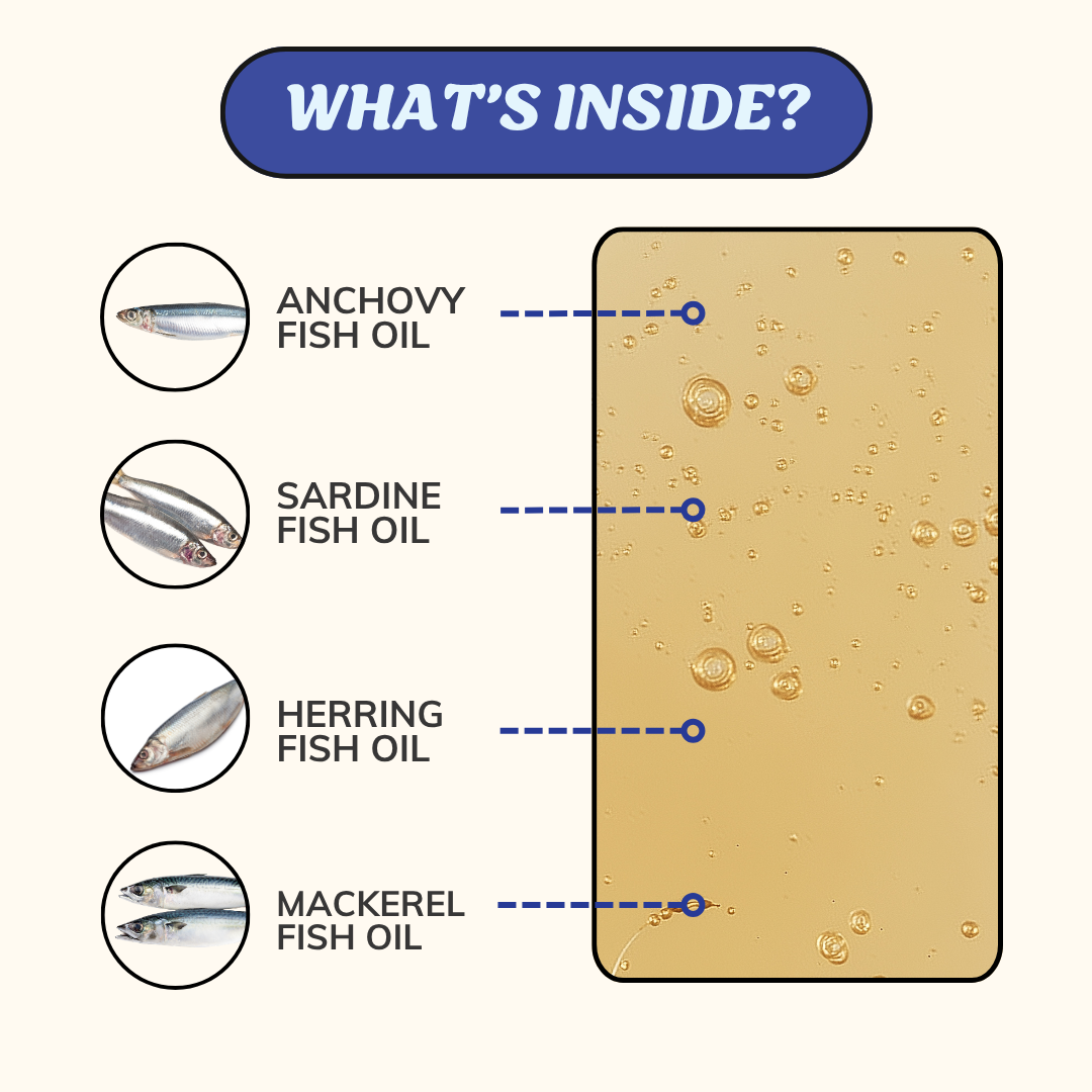 Omega-3 Fish Oil for Dogs
